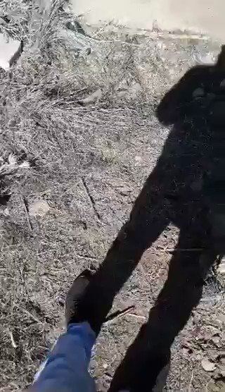 Embedded video