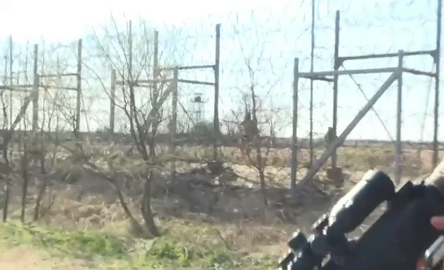 Ενσωματωμένο βίντεο