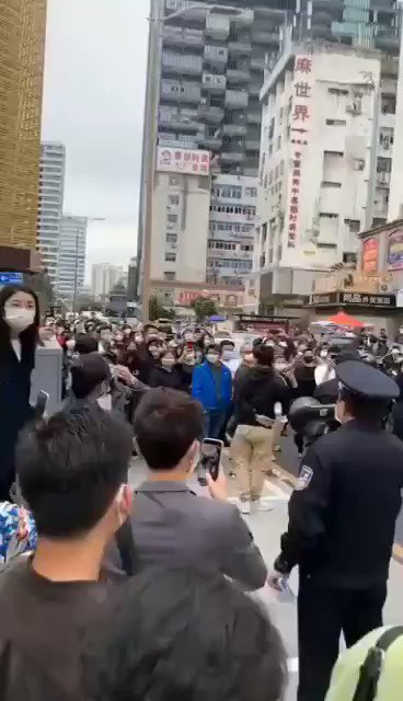Embedded video