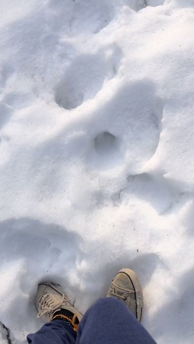 All these holes ??? https://t.co/LOpdq7gLP9