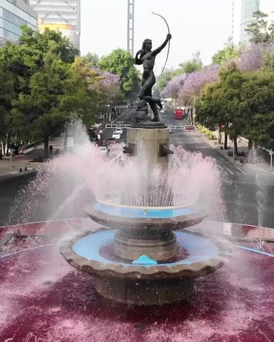 Video insertado