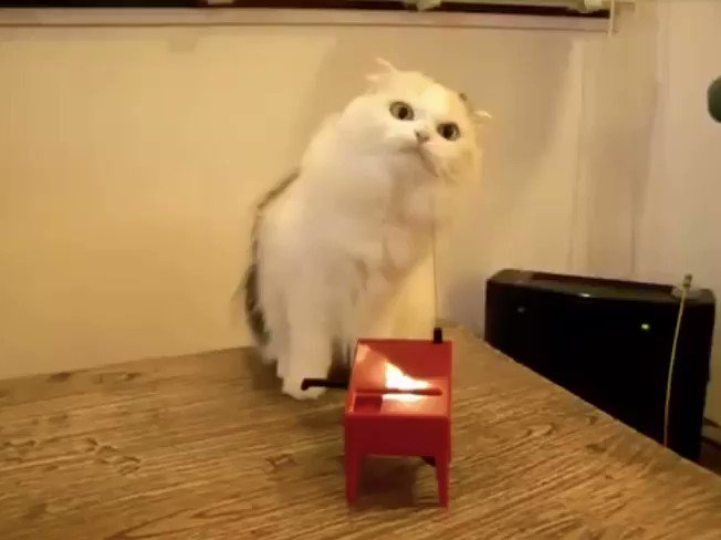 Cat Makes Music with Theremin