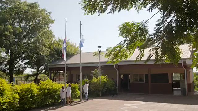 Video insertado