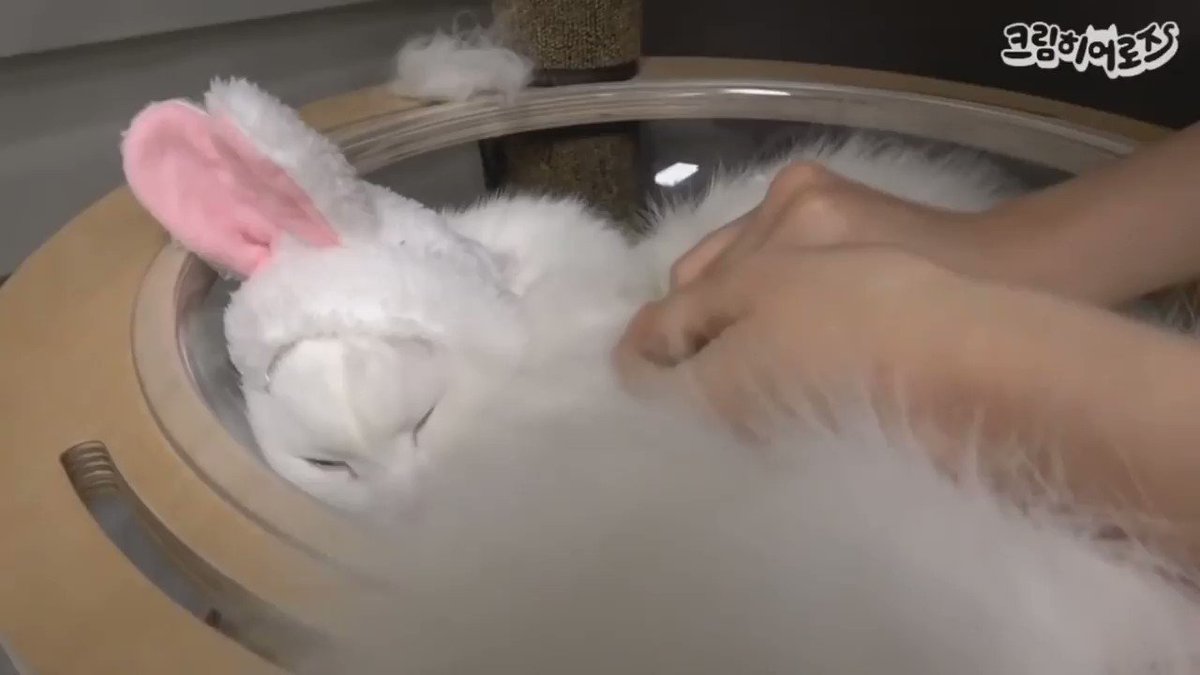@mangoshu0719's video Tweet