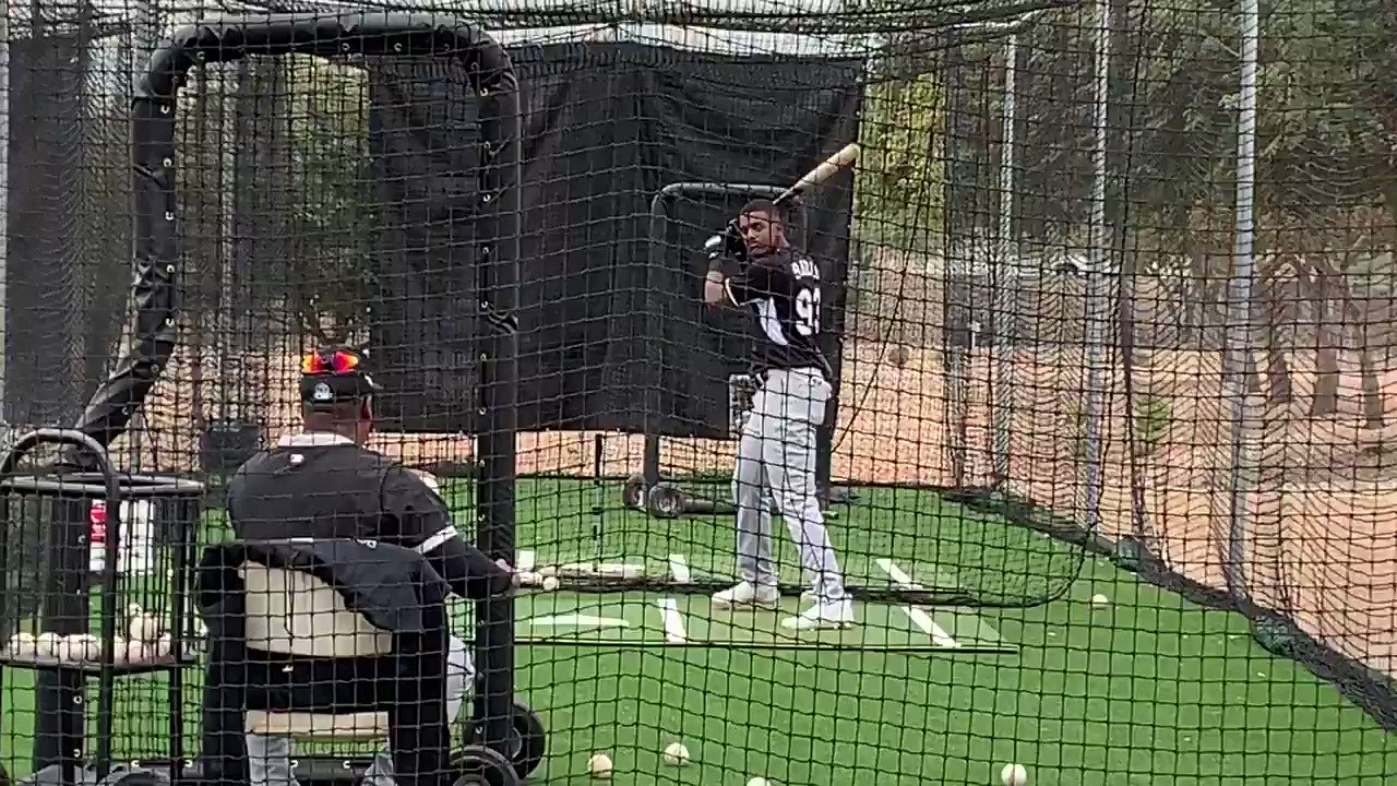 James Fegan on Twitter "Lenyn Sosa will not swing at just any flip