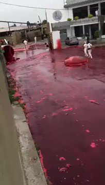 まさに血の海・牛の血液(500,000リットル)を運ぶトラックが爆発して血の海になっている・・・。