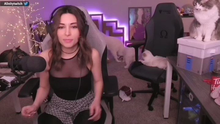 Alinity on Twitter: "Introducing the whole family! Some ppl don't know