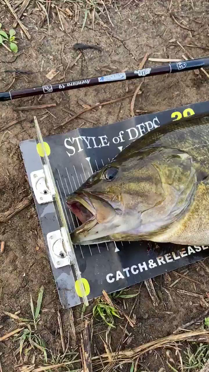 サカナ 隙あらばバス釣り Bass Sakana Twitter
