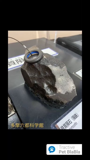 main image of this resource