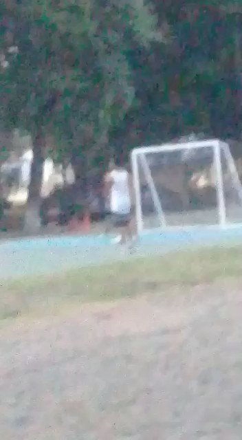 Embedded video