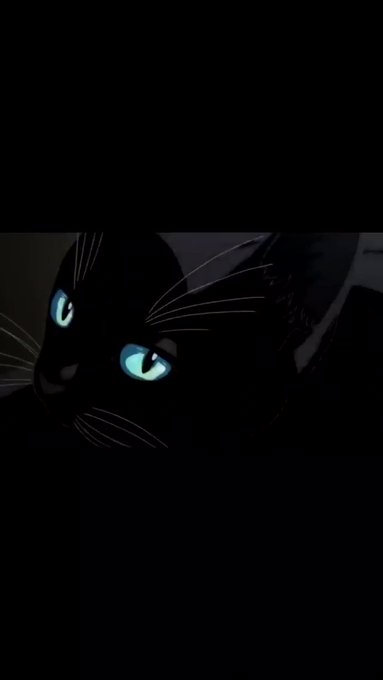 注目 画像ツイート 四月は君の嘘 5ページ目 アニメレーダー 注目 画像ツイート 四月は君の嘘 5ページ目 アニメレーダー