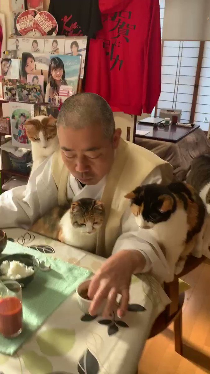 猫全部乗せwww住職の朝ごはんと猫ちゃんたちが話題www