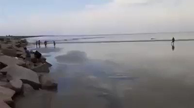 Embedded video