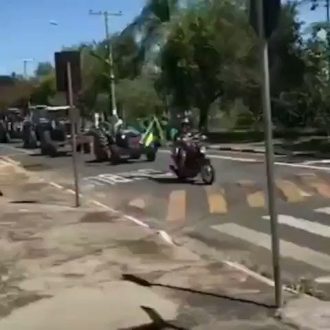Vídeo incorporado