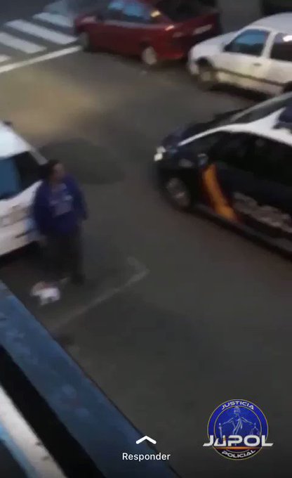 Ενσωματωμένο βίντεο