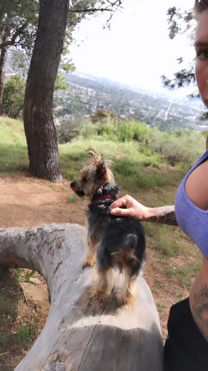 Model - Felicity Feline pornstar