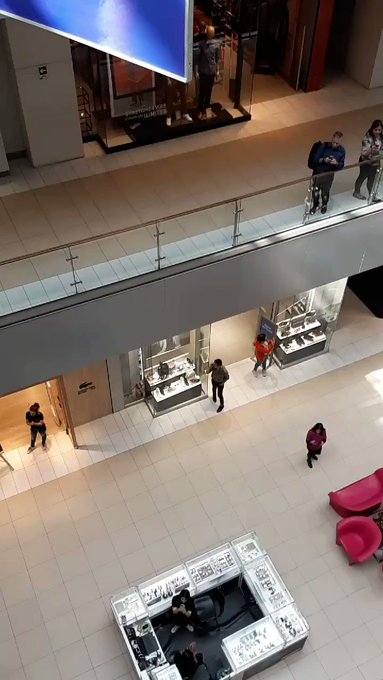 Embedded video