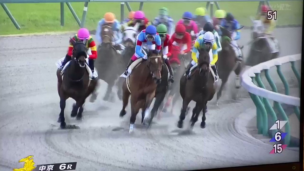 待望の中央初勝利は鮮やかな差し切り勝ちでした
おつかれさまでした🙋‍♂️
#トゥインクルリーフ 