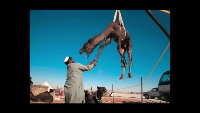 #CORONA #COVID19 I AM NOT AFRAID OF CORONA (OFFICIAL MUSIC VIDEO) https://t.co/RCtcsRr7QV<a href="/tag/corona"class="tags">#CORONA</a><a href="/tag/covid19"class="tags">#COVID19</a>