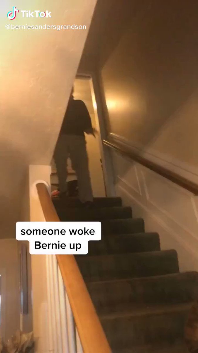 Jc On Twitter So Apperantly Bernie S Grandson Has A Tiktok