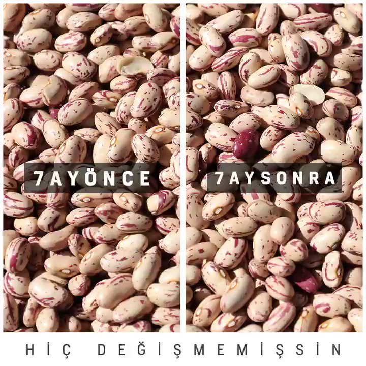 Galeri Gurses Arcelik Beyaz Esya Magazasi
