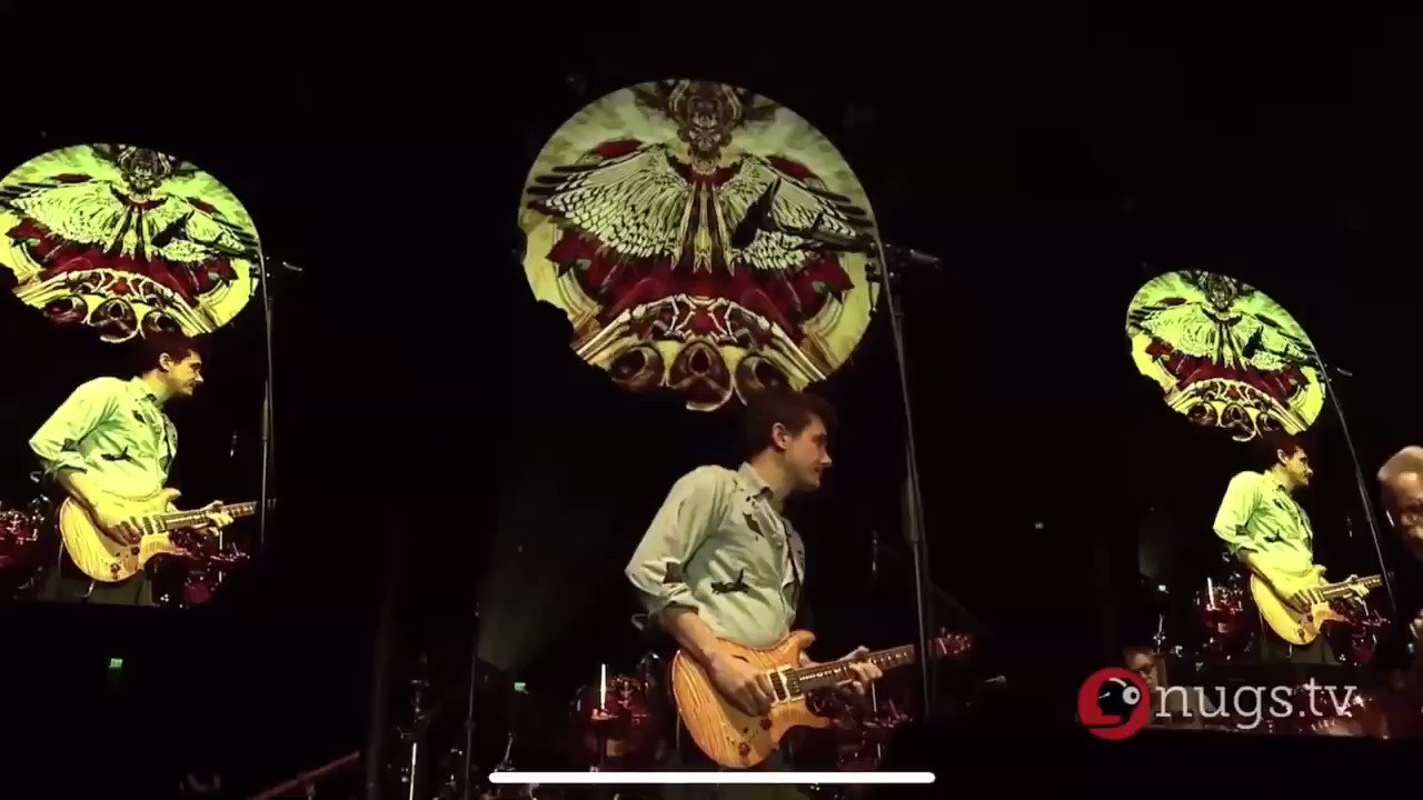 Turnipseed (Turnipseed) / Twitter