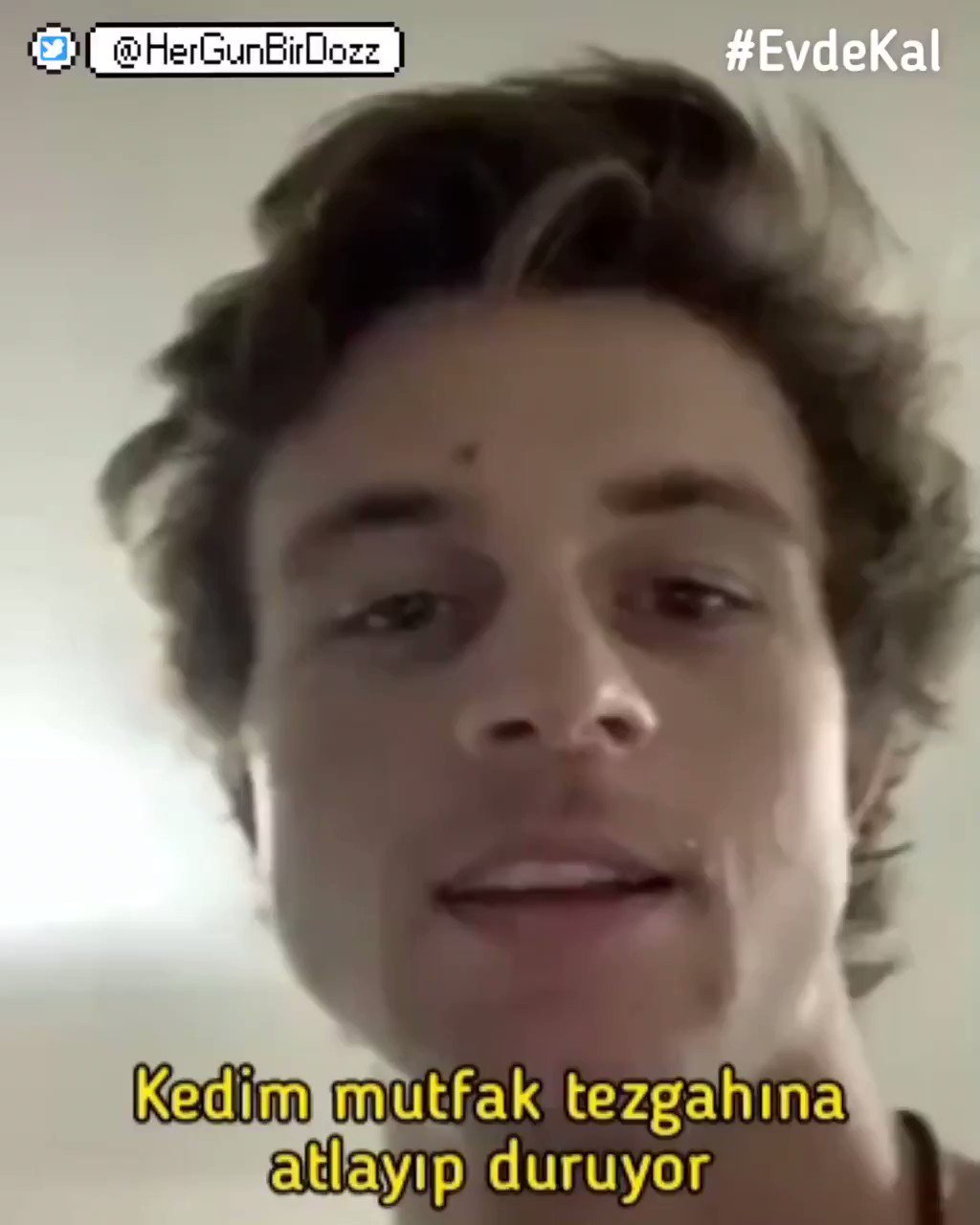 her gun bir doz on twitter mutfak tezgahina ziplayan kedileri nasil uzaklastirabiliriz https t co jevqefz9uo twitter