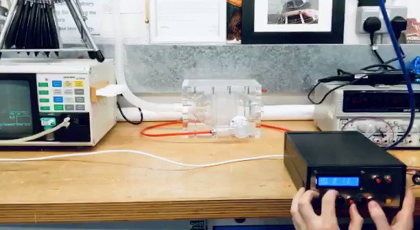 Embedded video