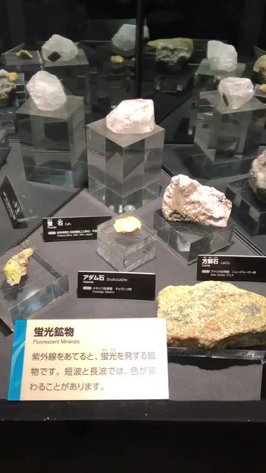 main image of this resource