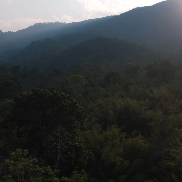 Nouvelle vidéo ! En janvier dernier je suis parti en immersion dans un village au Laos avec l’ONG Enfants D’Asie @enfantsdasie, une grosse claque
https://t.co/A6EkbMtJtl
Bon confinement et bonne vidéo, restez chez vous ! https://t.co/lvrysgcr0A