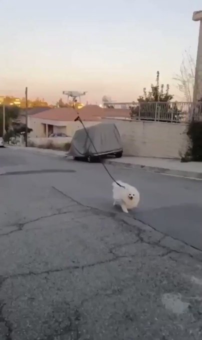 Ενσωματωμένο βίντεο