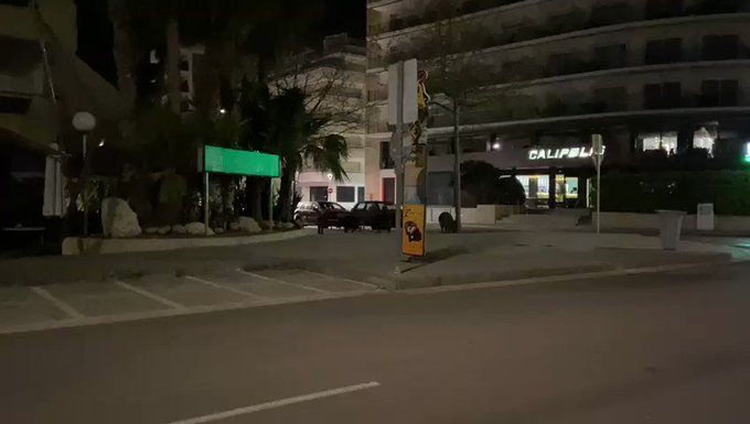 Video insertado