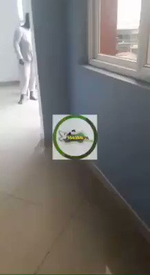 Embedded video