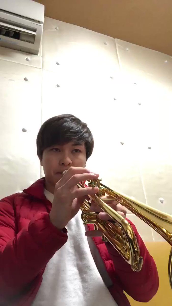 演奏確認済み♪ fernandoフェルナンド トランペット トランペット演奏 - Search / X