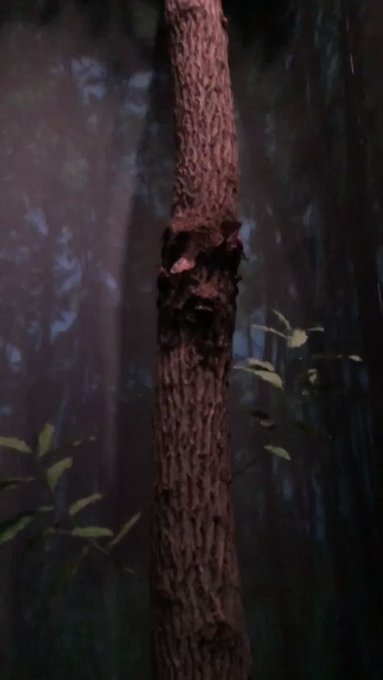 main image of this resource