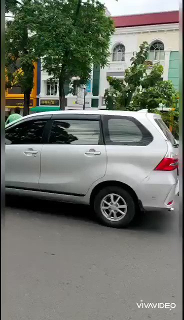 Embedded video