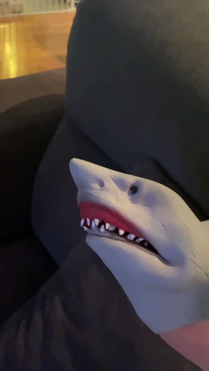 Shark Puppet (@thesharkpuppet) / Twitter Shark Puppet (@thesharkpuppet) / Twitter