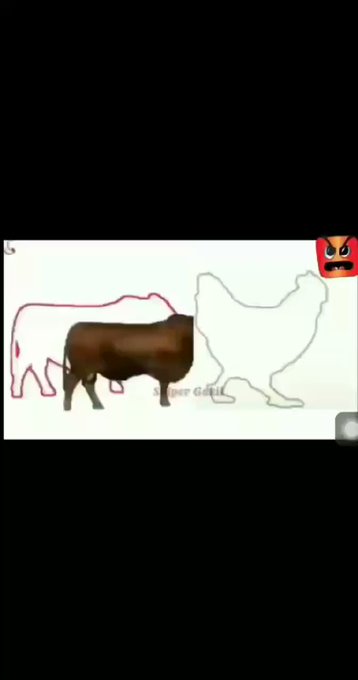 Video terlekat