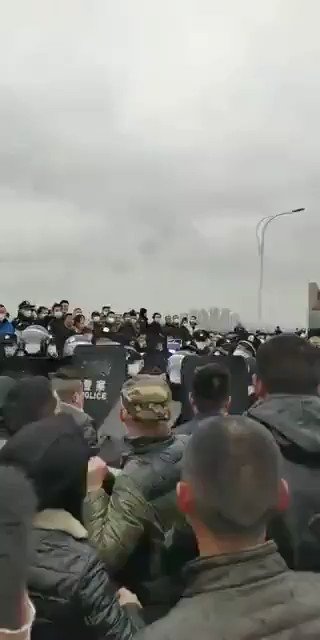 Embedded video