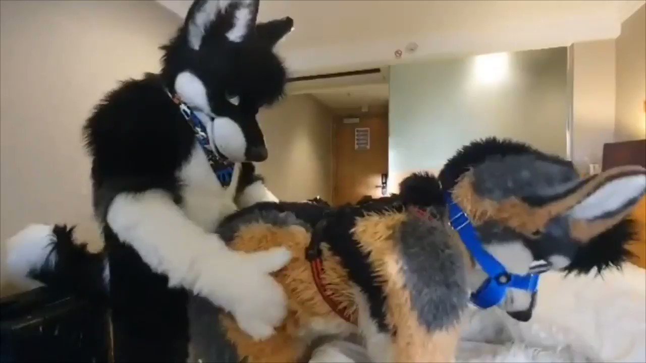 Gay murrsuit twitter