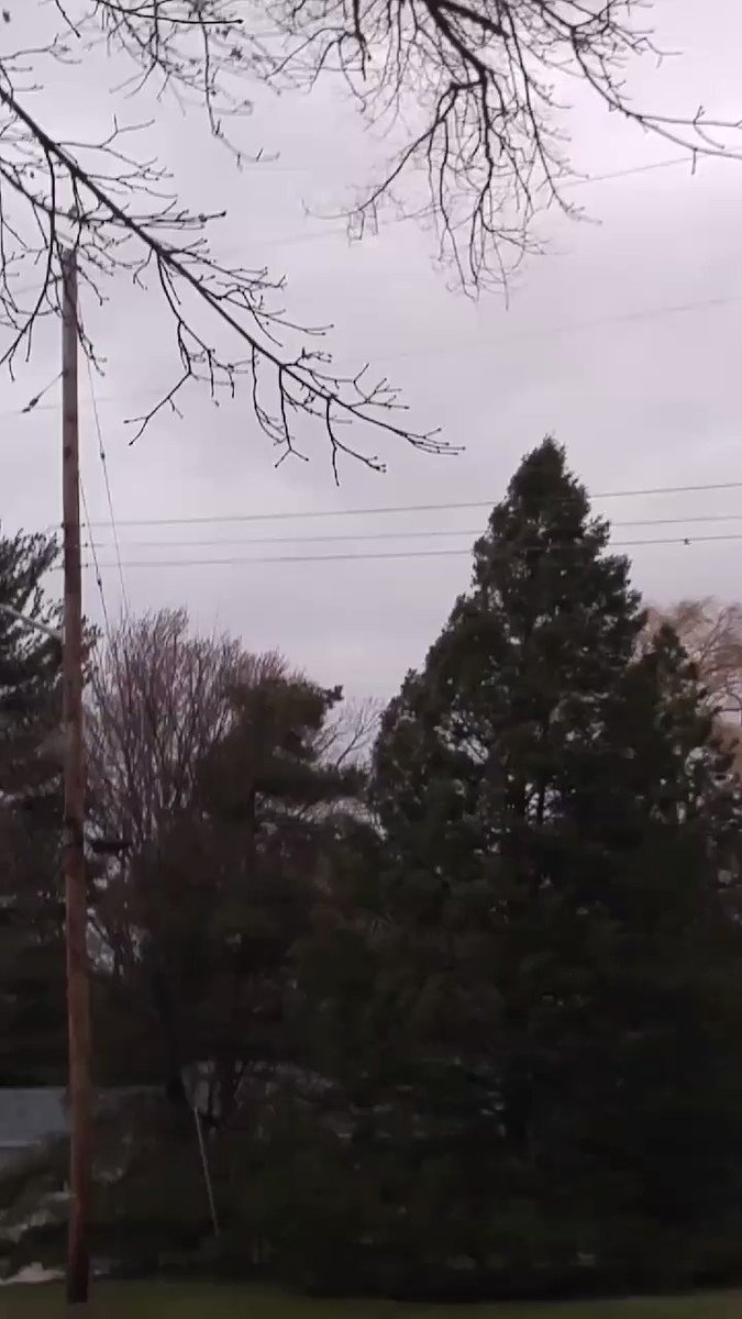 's Media: RT @Laffincrow: I think #MotherNature is PISSED! You should hear the sound of the wind.😮 https://t 's Media: RT @Laffincrow: I think #MotherNature is PISSED! You should hear the sound of the wind.😮 https://t