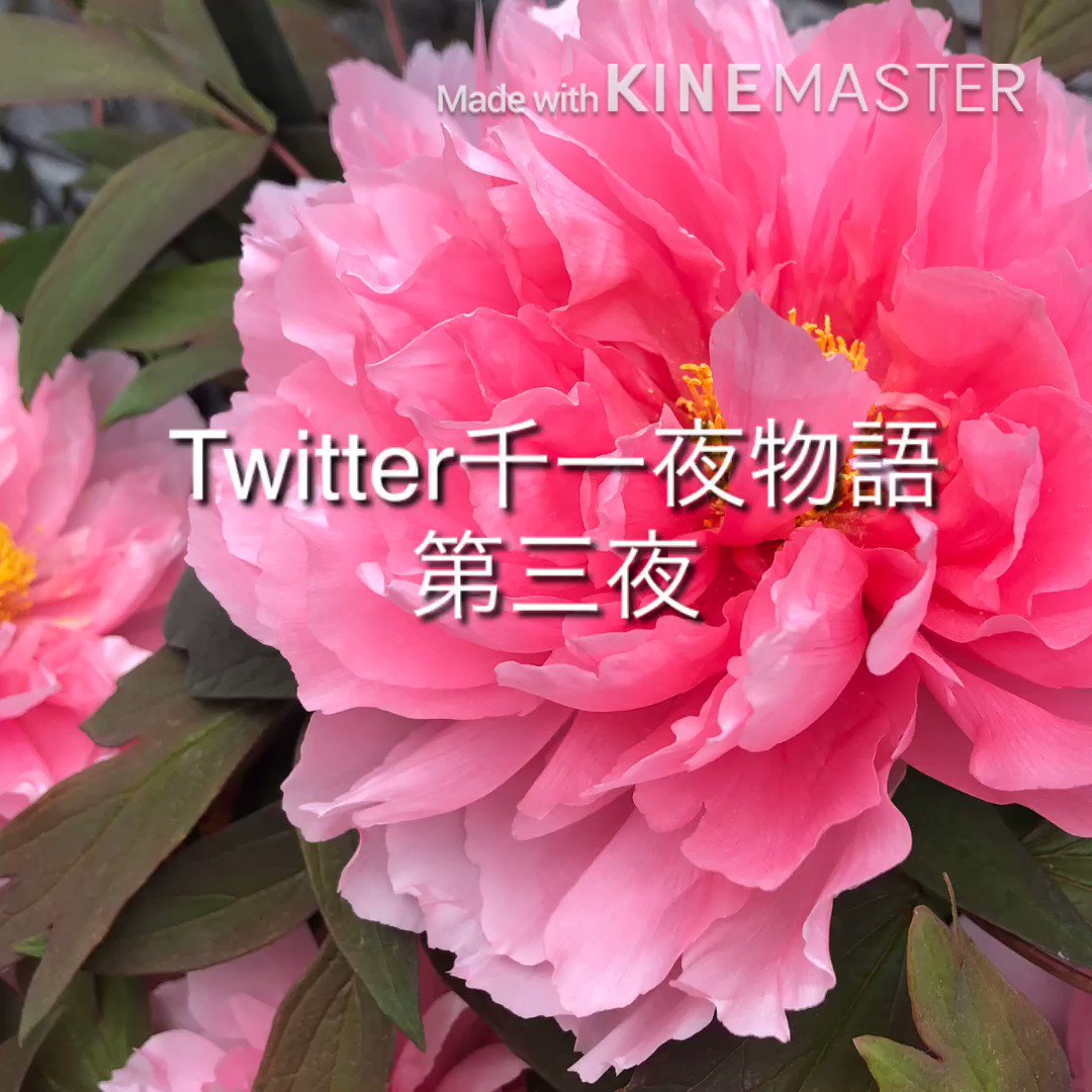 Acteur Acteur Oda Twitter