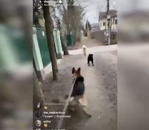 Встроенное видео