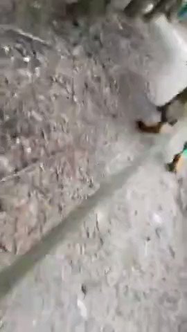 Встроенное видео