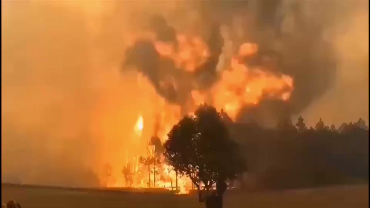 四川省 山火事で消防士ら19人が死亡 昨年も31人死亡 生かされなかった教訓 年4月1日 エキサイトニュース