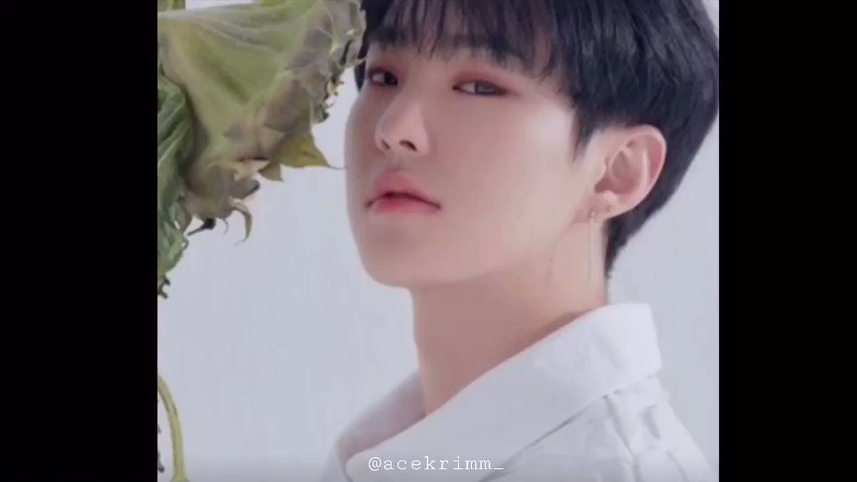 So I edit this for almost 4hrs—SVT’s HUG English Lyrics is ❤️ #2getherseries #soongyu #SEVENTEENで妄想 #SEVENTEEN #caratsgoingtojailparty #HOSHI #bored