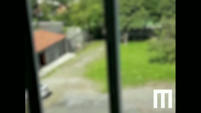 Vídeo incorporado