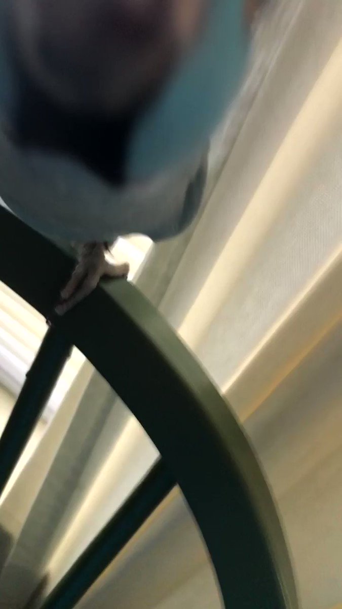 Mel ππ (@meruchaa_) on Twitter photo 01/04/2020 23:12:44 A video taken seconds before disaster A video taken seconds before disaster