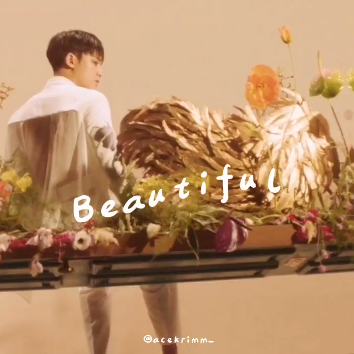 SVT’s BEAUTIFUL English Lyrics.
edited by me,lmao i edited this for almost 3hrs(only chorus part) HAHA anyways hope y’all like it. #2getherseries #SEVENTEENで妄想 #seventeencafe #soongyu #MINGYU #caratsgoingtojailparty #bored