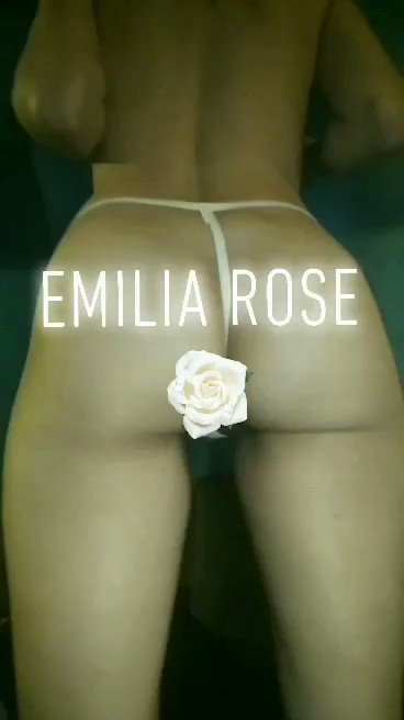 Model - Emilia Rose longhair
